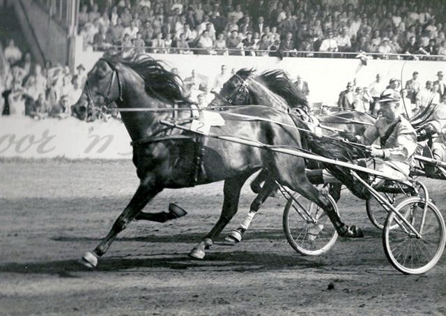 Quintus Harvester 17-7-55.jpg