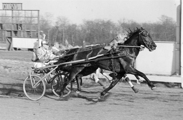 Quintus Harvester 17-4-1955.jpg