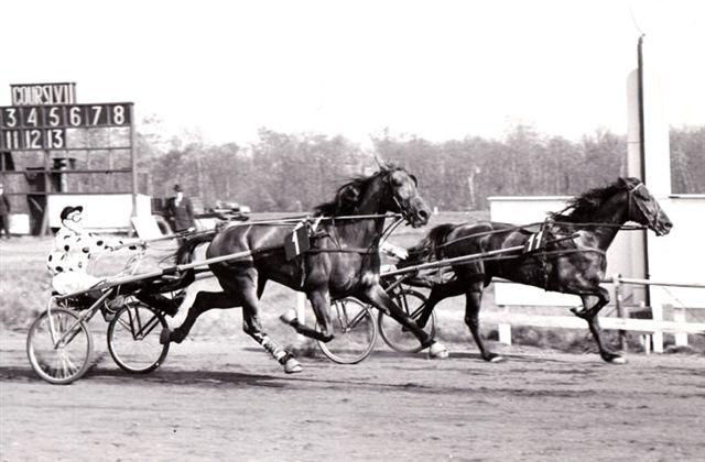 Quintus Harvester 9-5-1954.jpg