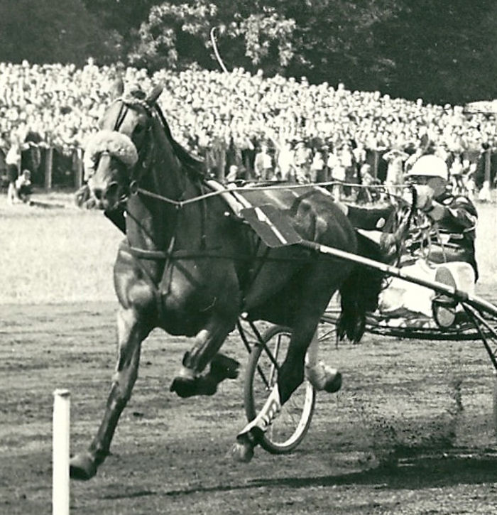 Peterhof GPdLL 57 aa.jpg