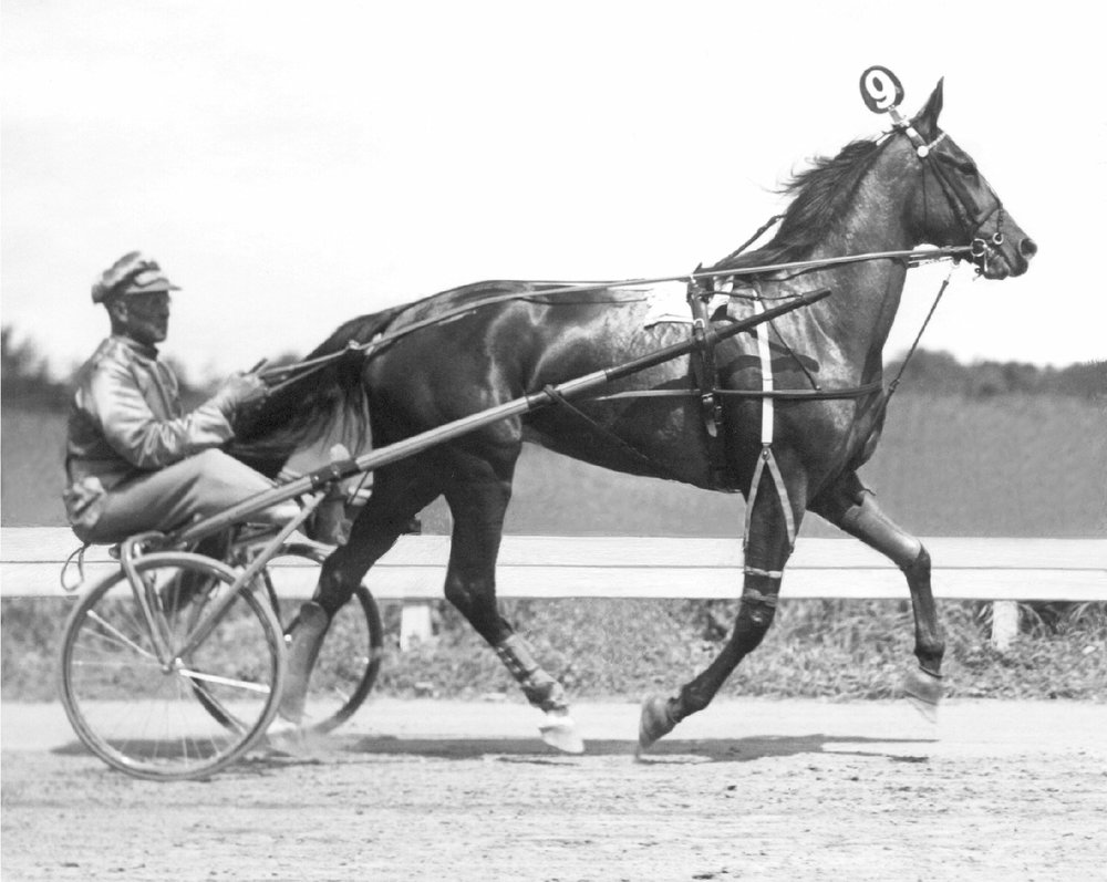 37ShirleyHanover1.jpg