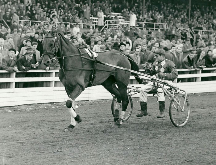 Madame B RdGP 1954 ere.jpg