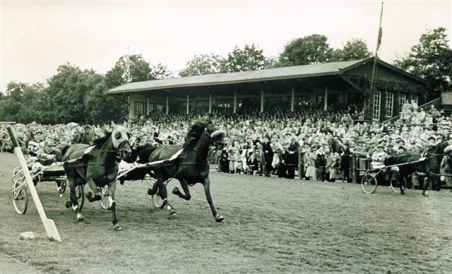 Madame B voor Olga Pluto.jpg