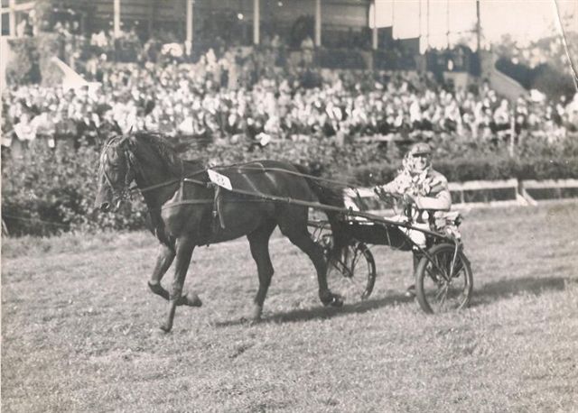 Kitty Zora Derby ere.jpg