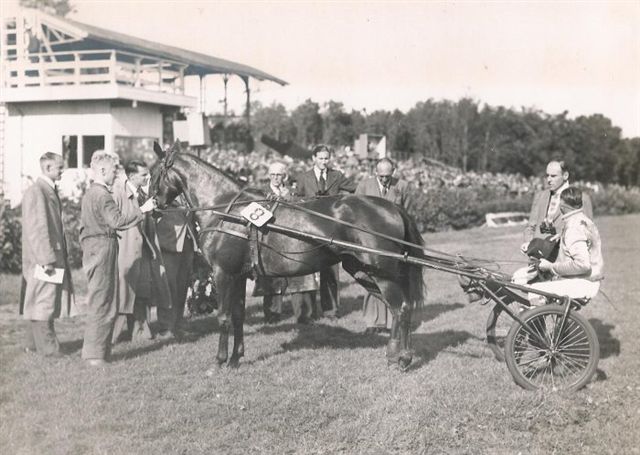 Kitty Zora Derby hulde.jpg