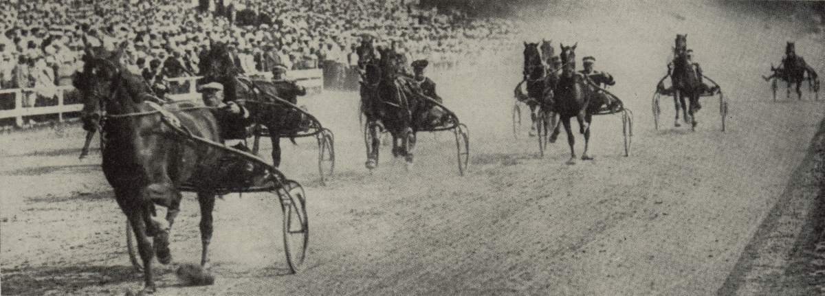 MaryReynolds3dHt1933Hambo.jpg