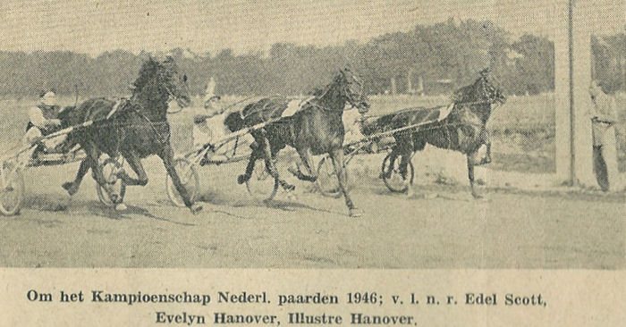Illustre Hanover KPN 46.jpg