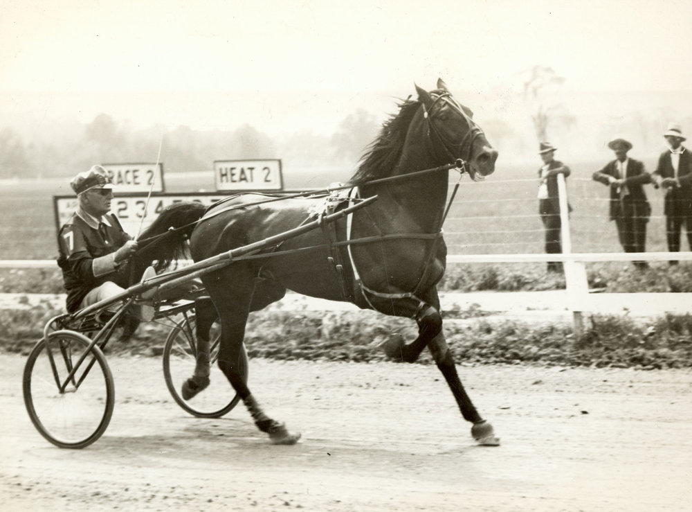 CalumetButler(DickMcMahon)1931Hambo.jpg