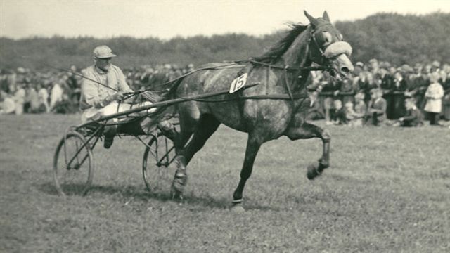 Gonny D Derby.jpg