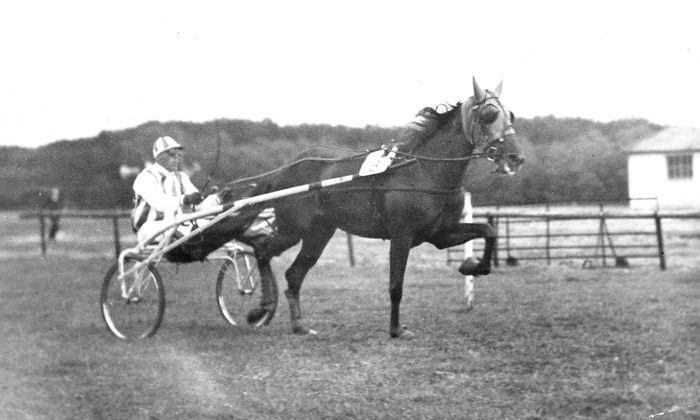 Hollyrood Nimble Derby a.jpg