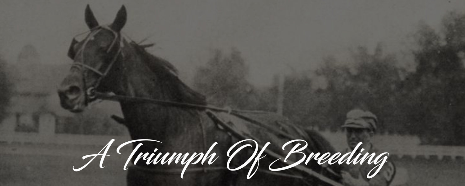 history+banner+1930.jpg