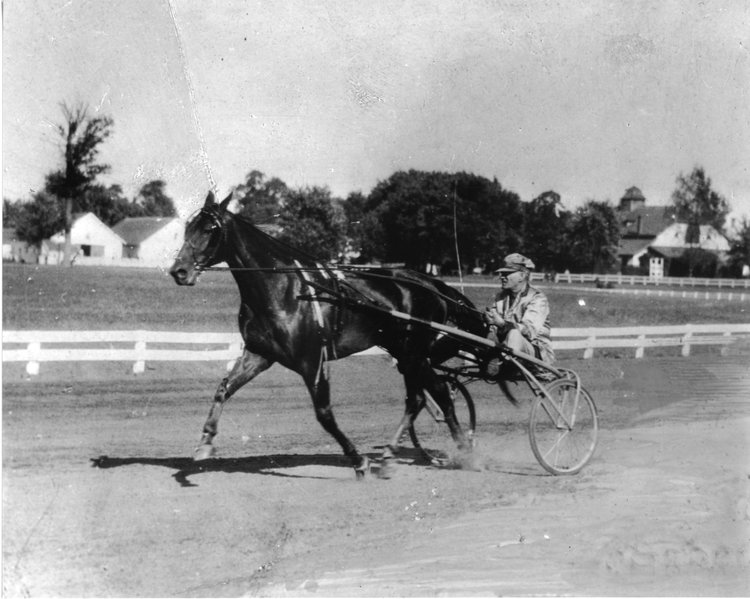 Goshen29_01.jpg