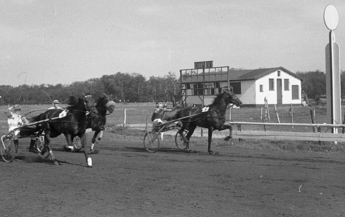 Edel Scott GPvNed 50 2e.jpg