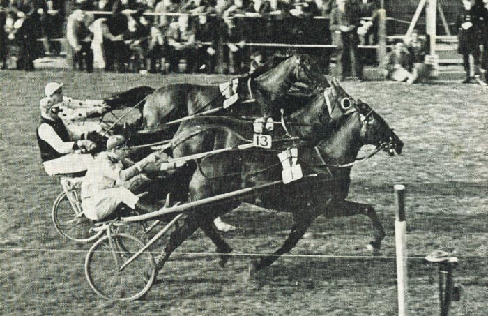 Edel Scott PvN.jpg