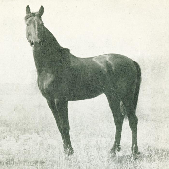 Edel Scott.jpg