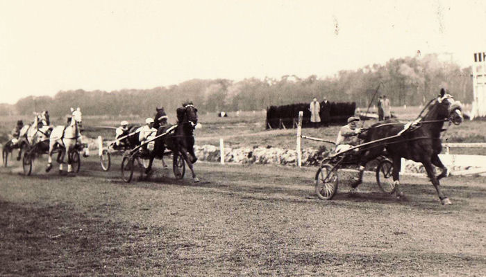 Dutch Hanover Dynamic-pr.jpg