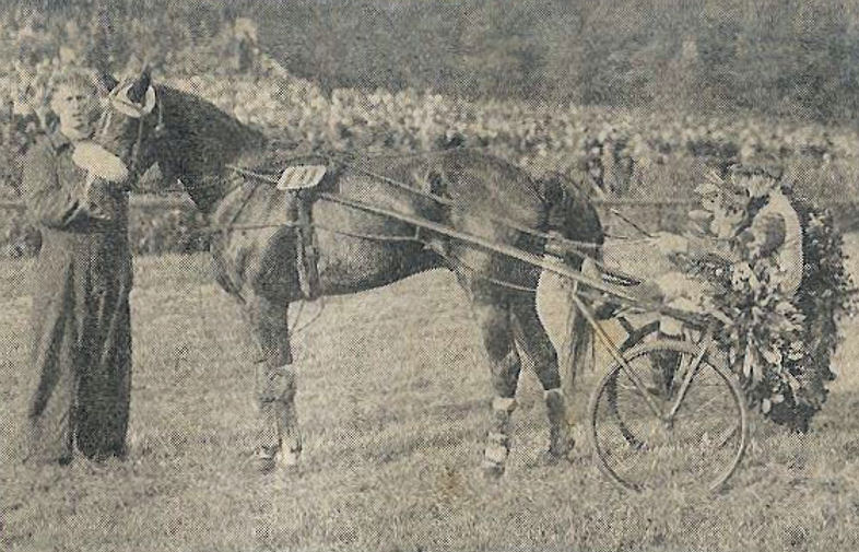Dutch Hanover GPvNed 45 h.jpg