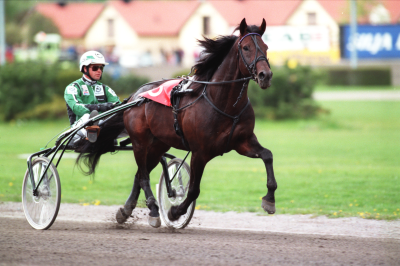 zoogin-och-ake-svanstedt-769844.png