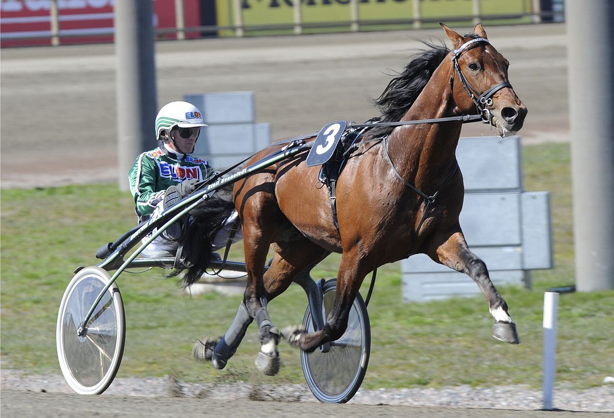 Åke_Svanstedt_&_Torvald_Palema_2008-04-19_001.jpg