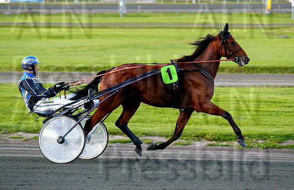 Huddlestone heat 1.t5d6e4117.m600.w.4salnwmark2.png.xJo7Zsf7X.jpg