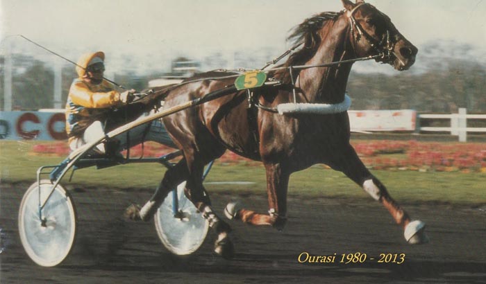 Ourasi wint 5 (1).jpg