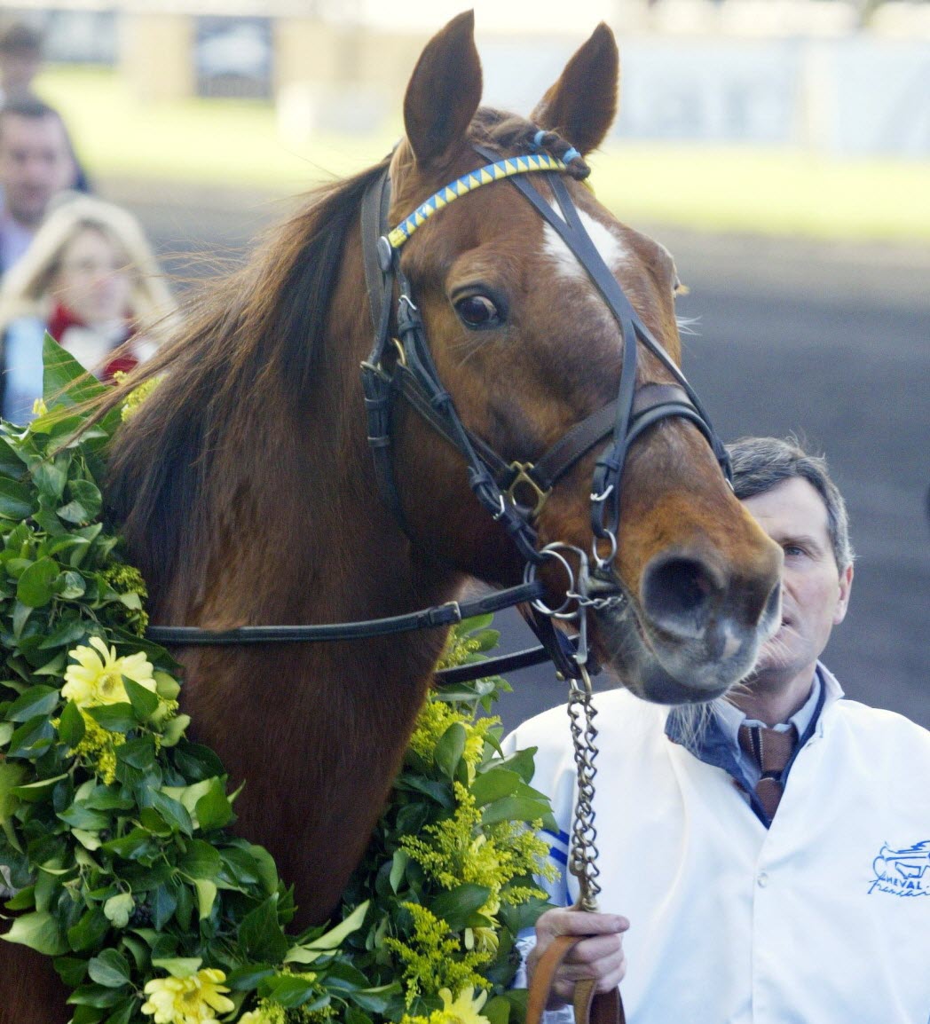 ourasi-s-est-eteint-a-un-age-tres-superieur-a-la-moyenne-pour-un-cheval-de-course-estimee-a-environ-25-ans-photo-afp-1419830451.jpg