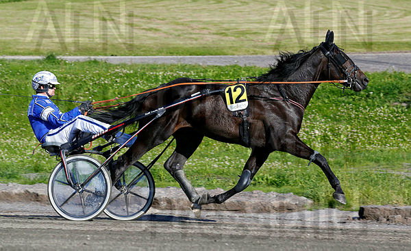 Gazoline Mearas heat 1.t5daafab9.m600.w.4salnwmark2.png.xdrnM30DK.jpg