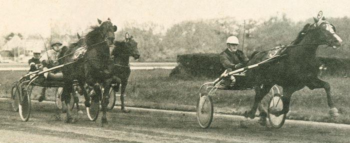 Kameraad voor King Holl (1).jpg