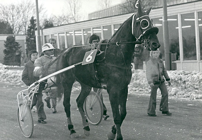 Kees Verkerk GP Stayers 76 h.jpg