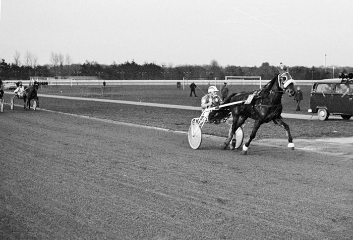 Kees Verkerk GPaard 76.jpg
