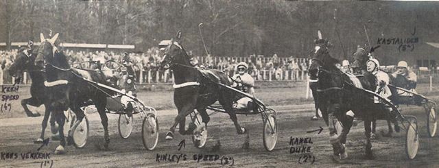 Kees Verkerk Veelbelovenden 73 (1).jpg