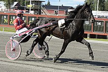 220px-Månprinsen_AM_2013-08-10.jpg