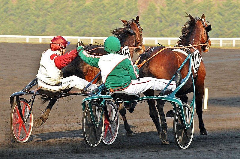 800px-Nivard_&_Kihlström_Prix_d'Amerique_2011.jpg