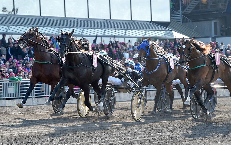 800px-Nuncio_wins_Elitloppet_2016.jpg