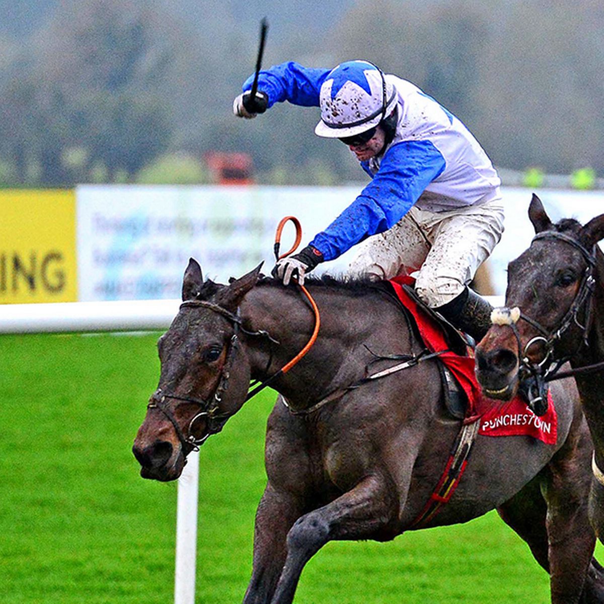 1_Horse-Racing-24-Nov-2020.jpg