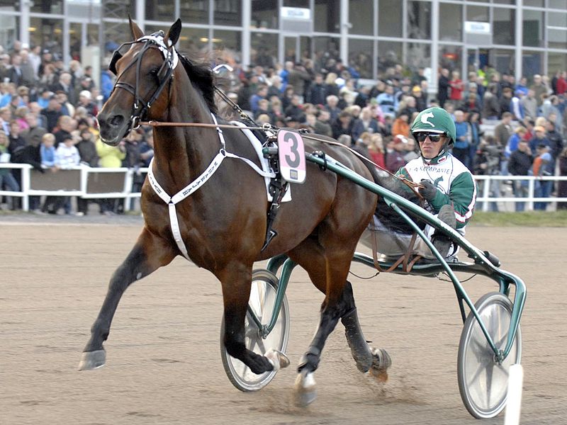 Örjan_Kihlström_&_Maharajah_2009-12-11_001.jpg