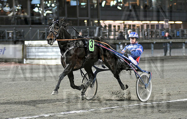 STARO LEONARDO mål 1.t61f1dd81.m600.w.4salnwmark2.png.xcvP1mYJ0.jpg