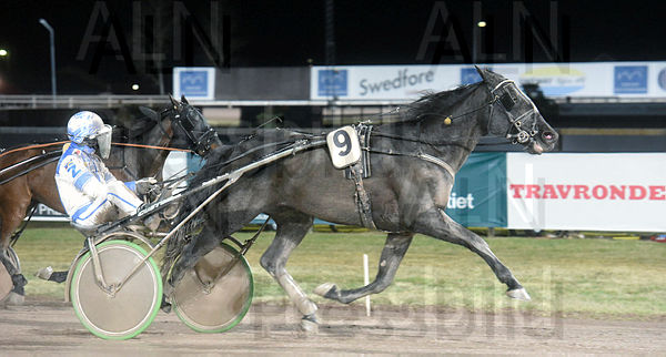 The Black Rose mål.t61eef8f7.m600.w.4salnwmark2.png.xSzmc43y4.jpg