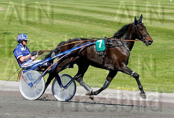 Staro Leonardo heat 1.t60d06d50.m600.w.4salnwmark2.png.x1I4ogqiE.jpg