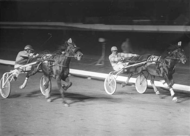 Veloce Nora Klapper van Wolvega.jpg