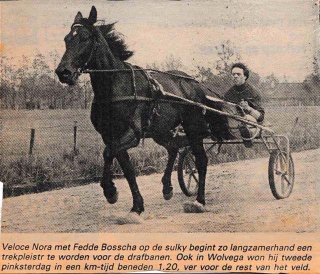 Veloce Nora met Fedde Bosscha.jpg