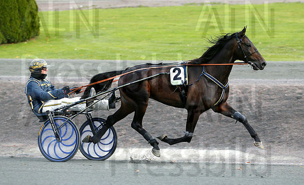 Gareth Boko heat 1_2.t5bef10bf.m600.w.4salnwmark2.png.xKCgER0XA (1).jpg