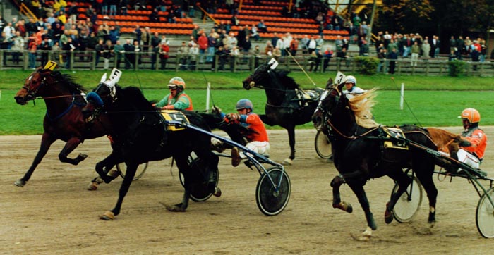 Kailash Fok Trofee (1).jpg