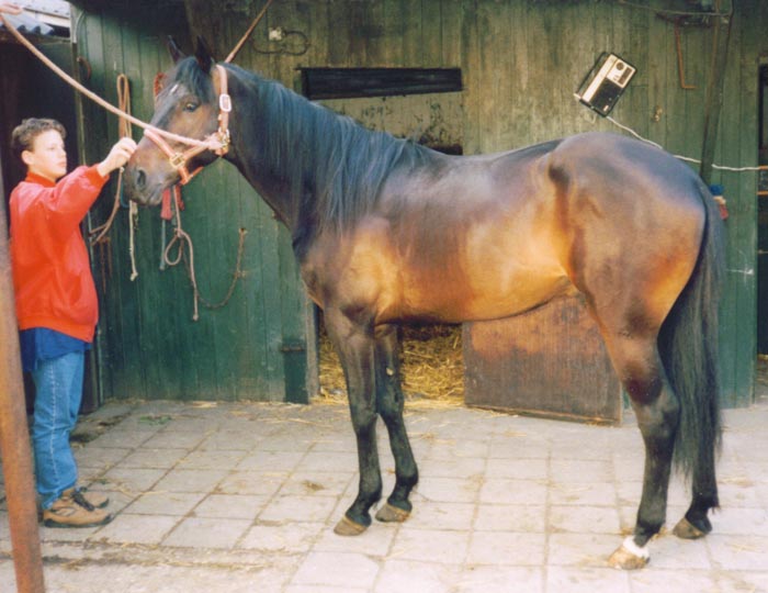 Kailash 2 jaar oud.jpg