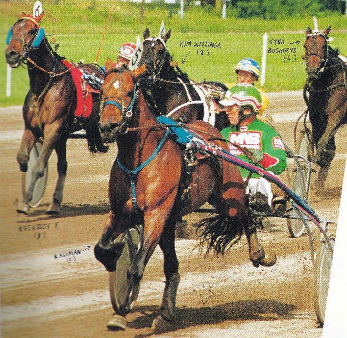 Kaliman AEV 4j Stakes serie.jpg
