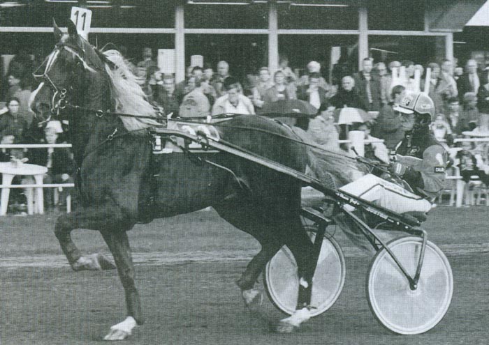 Kosmos Groenhof.jpg