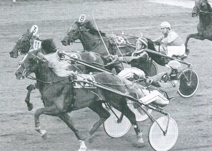 Kosmos Groenhof Sweep.jpg