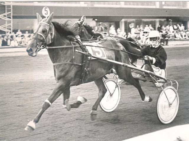 Rick Hanover WP Strooper.jpg