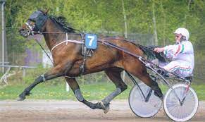 download - 2022-04-28T152143.327.jpg