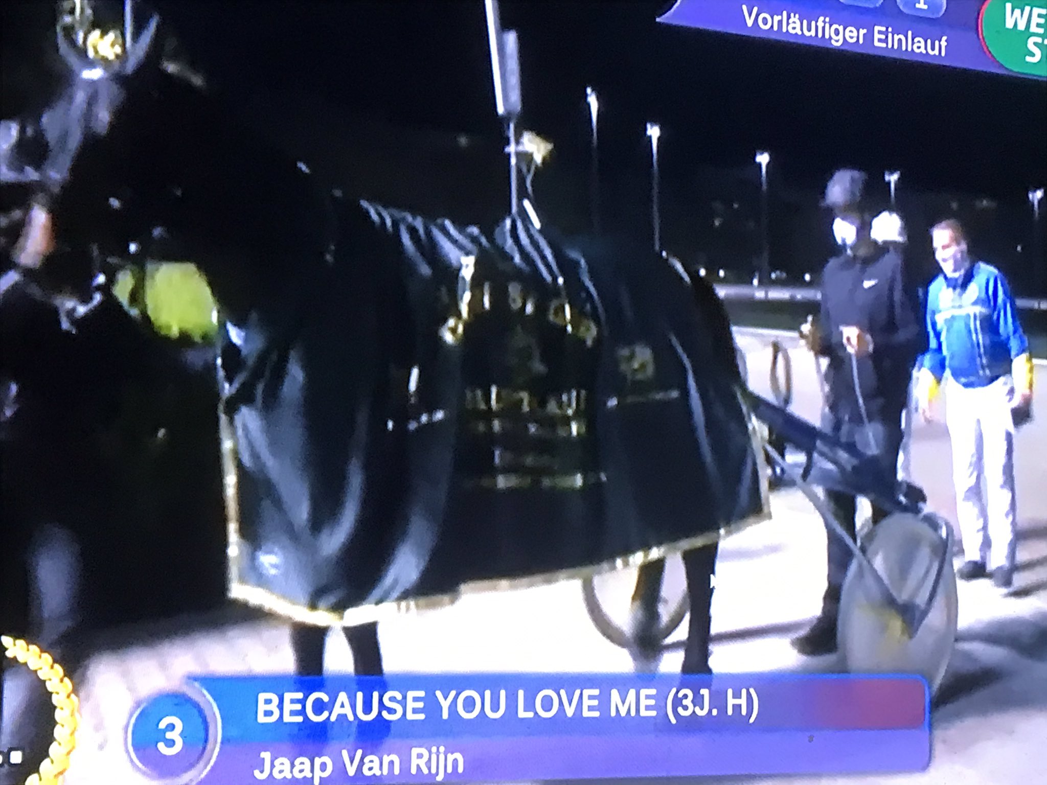 bcylm.jpg